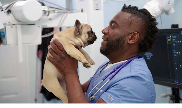Atlanta'nın (Georgia) yaklaşık 160 kilometre güneyinde yer alan veteriner kliniğinin