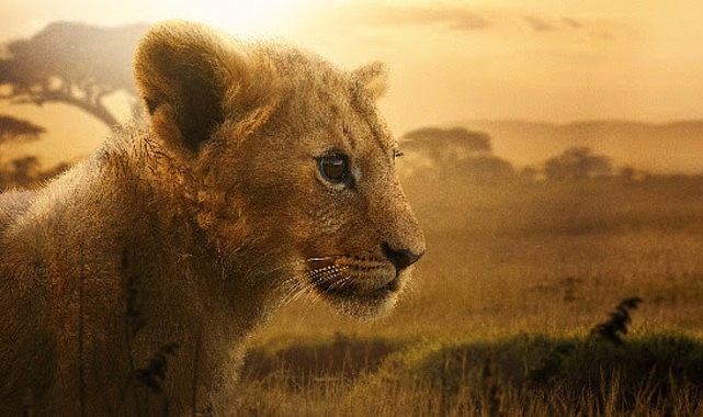 4 Bölümlük Belgesel Seri “Aslan Kralın Doğuşu” 19 ve 26 Ağustos Çarşamba Günleri 20.00’de İki Bölüm Art Arda National Geographic Ekranlarına Geliyor National Geographic yapımı olan, yürütücü yapımcılığını Jon Favreau ve Mike