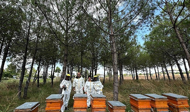 Bilinçli üretim, Kocaeli’nin balını Türkiye’ye taşıyor Kocaeli Büyükşehir Belediyesi’nin destekleriyle kentte arıcılık ve bal üretimi her