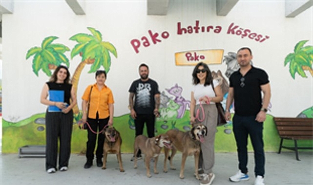 Bir proje, üç dost, hiç kopmayan bağ İzmir Büyükşehir Belediyesi, “Patili Dostlar İş Başında” projesiyle yıllardır belediye