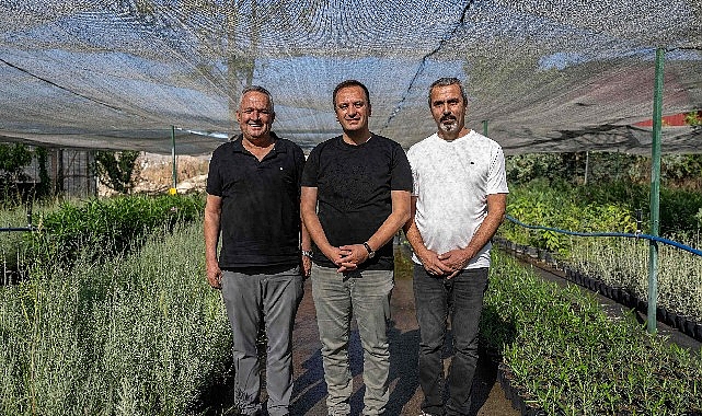 Bornova Belediye Başkanı Ömer Eşki, Bornova Belediyesi Park ve Bahçeler