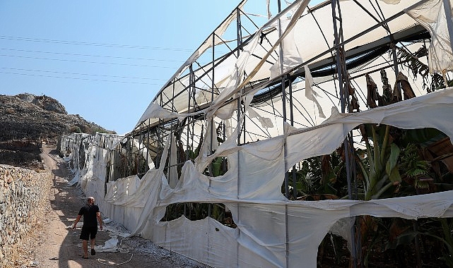Büyükşehir Belediyesi zor gününde de vatandaşın yanında Antalya Büyükşehir Belediyesi, geçtiğimiz günlerde Alanya ve Gazipaşa’da gerçekleşen yangın