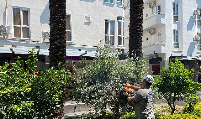 Büyükşehir ekiplerinden Kemer Liman Caddesi’nde çalışma Antalya Büyükşehir Belediyesi Park ve Bahçeler Dairesi Başkanlığı ekipleri, Kemer’in