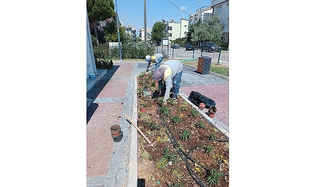 Didim Belediyesi Kendi Üretimiyle Kenti Güzelleştiriyor Didim Belediyesi, Akköy Tıbbi Aromatik Bitkiler ve Süs Bitkileri Fidanlığı’nda