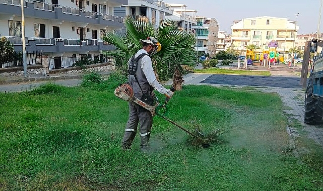 Didim Belediyesi, kent genelinde yeşil alanlarda, yol kenarlarında ve ihtiyaç