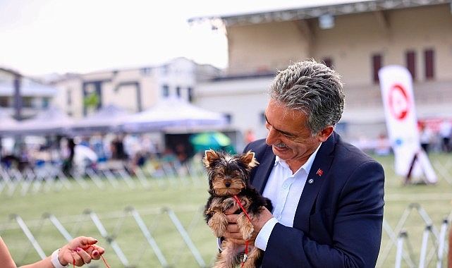 Gemlik Belediyesi ve Köpek Irkları ve Kinoloji Federasyonu (KIF) iş