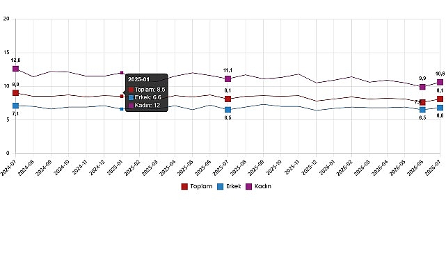 Mevsim etkisinden arındırılmış işsizlik oranı %8,1 seviyesinde gerçekleşti