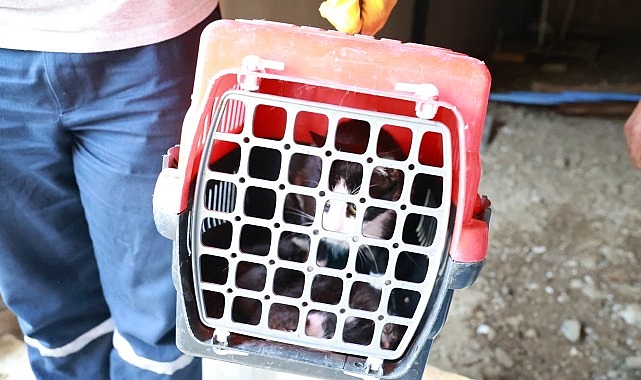 Osmangazi Belediyesi, Bursa'nın verimli tarım arazilerini korumak amacıyla kaçak yapılarla