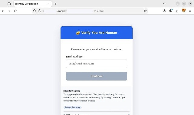 Kaspersky’nin yasal bulut platformlarını hedef alan kimlik avı (phishing) faaliyetlerine