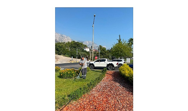 Antalya Büyükşehir Belediyesi Park ve Bahçeler Dairesi Başkanlığı ekipleri Kemer