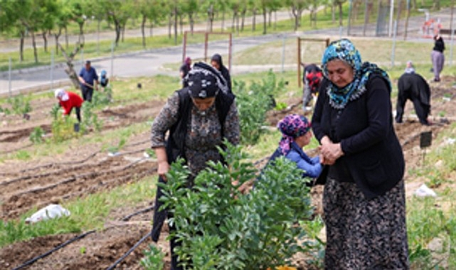 İzmir Büyükşehir Belediyesi’nin kent içi tarımı ve kadın dayanışmasını desteklemek