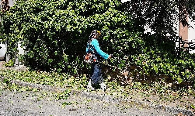 Maltepe’nin yeşil alanlarını daha düzenli, sağlıklı ve estetik bir görünüme