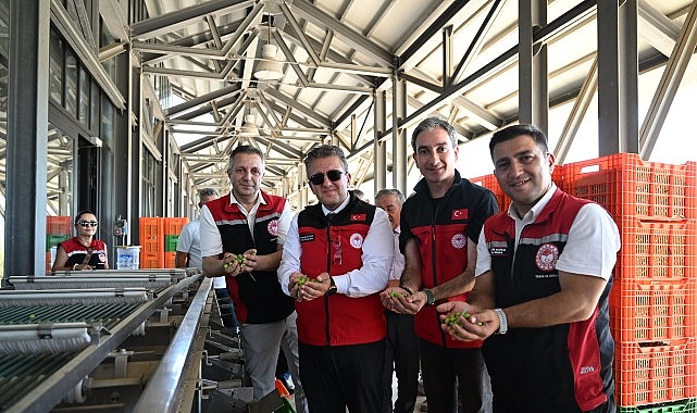 Türkiye’de Sezonun İlk Zeytin Hasadı Dikili Bademli’de Gerçekleştirildi Türkiye’de sezonun ilk zeytin hasadı, İzmir’in Dikili ilçesine bağlı Bademli