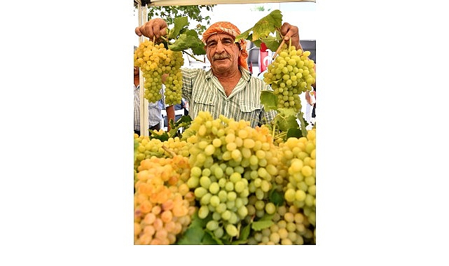 2600 yıl öncesine tanıklık eden; üzüme ve incire balın, zeytine