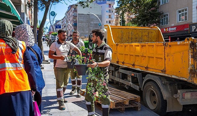 Kocaeli Büyükşehir Belediyesi, “Komşumla Çiçek Açıyorum Projesi” ile Gebze’de balkonları