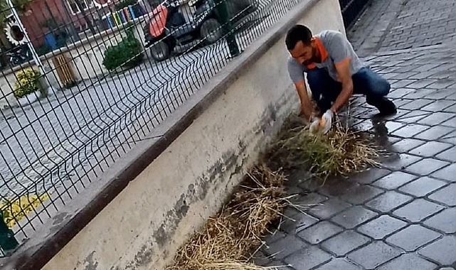 Burhaniye Belediyesi Temizlik İşleri Müdürlüğü ekipleri, ilçe genelinde beklenen yoğun