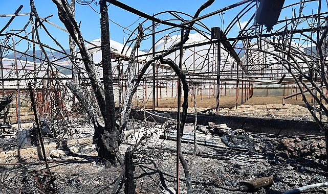 Antalya Büyükşehir Belediyesi, Kaş’ta Cumartesi günü çıkan yangından etkilenen vatandaşların