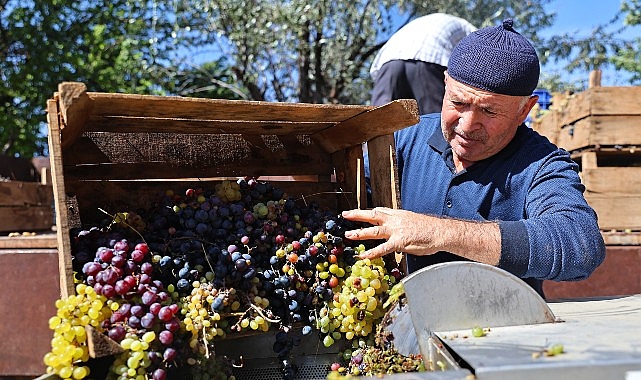 Büyükşehir’den üzüm üreticilerine makine desteği Antalya Büyükşehir Belediyesi, Elmalı ilçesinde üzüm üretimi yapan çiftçilere hasat