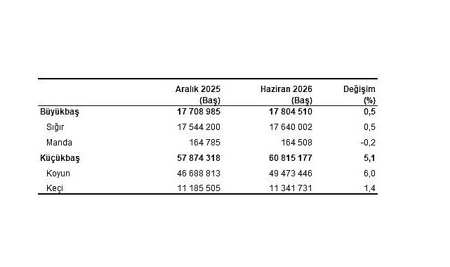 Hayvancılık İstatistikleri, Haziran 2026 Büyükbaş hayvan sayısı 2026 yılı Haziran ayında 17 milyon 805