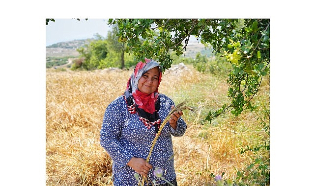 Temiz Ekmek Projesi, bölgenin yerel buğdaylarının topraktan değirmene, değirmenden fırınlara ve