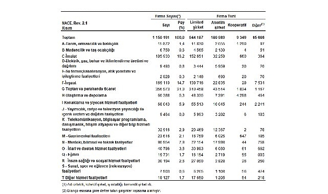 Sektör Bilançoları, 2025 En fazla firma toptan ve perakende ticaret sektöründe yer aldı
