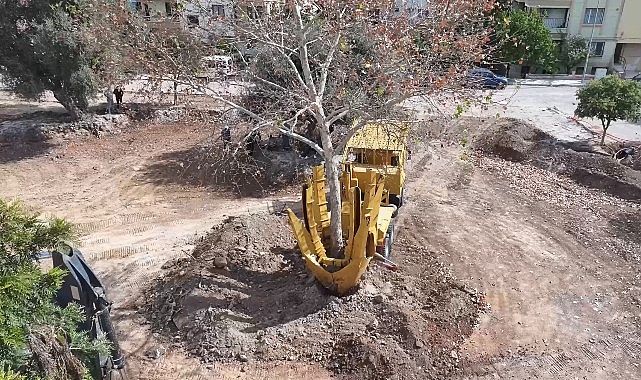Didim Belediyesi, Kaykay Parkı’nın yapım çalışmalarını tüm hızıyla sürdürüyor. Çalışmalar