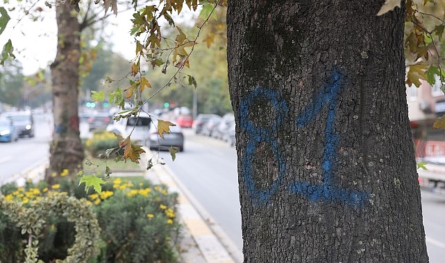 İBB, Tarihi Yarımada ile Bayrampaşa’yı bağlayacak 3,2 kilometrelik yeni tramvay