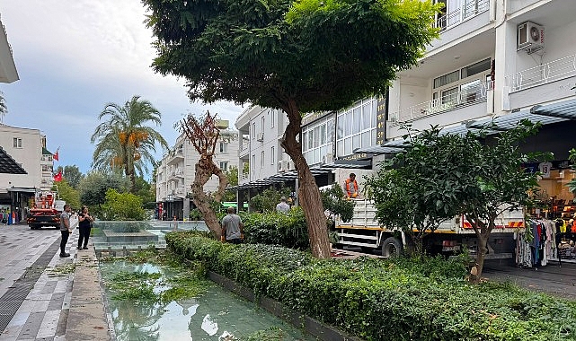 Antalya Büyükşehir Belediyesi ekipleri, Kemer Liman Caddesi’nde kış öncesi bakım,