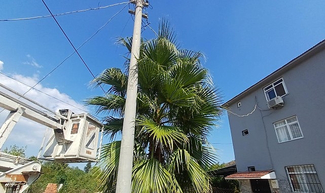 Kemer Belediyesi Park ve Bahçeler Müdürlüğü ekipleri, Kuzdere Mahallesi’nde budama