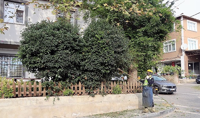 Maltepe Belediyesi, ilçe genelinde daha temiz, sağlıklı ve estetik bir