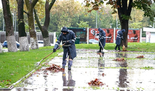 Osmangazi Belediyesi’nden Sonbahar Temizliği Osmangazi Belediyesi, sonbaharın gelişiyle birlikte ağaçlardan dökülen yaprakları titizlikle yürüttüğü