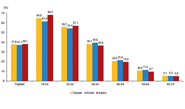 Yapay Zeka İstatistikleri, 2026 Yapay zeka teknolojilerinin bireyler ve girişimler tarafından kullanımını ortaya koymak